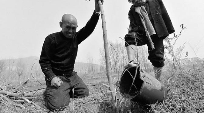 Chine : Ils plantent 10 000 arbres en 10 ans malgré leur handicap