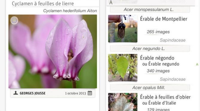France : Partage – Une application mobile gratuite pour identifier les plantes, les écorces et les fleurs